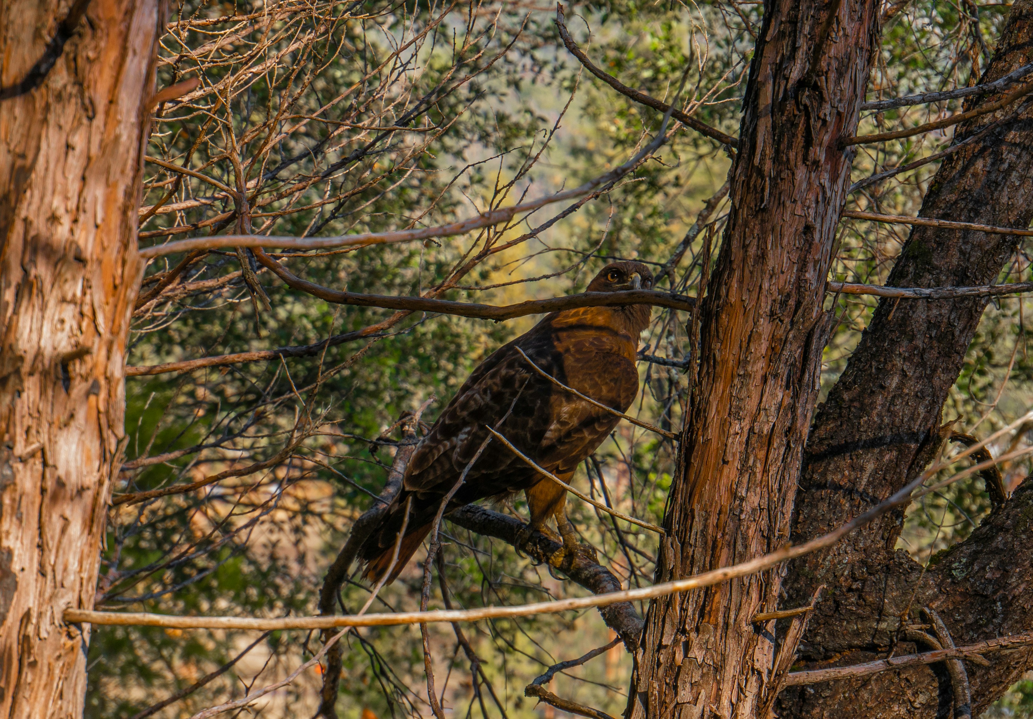 Photography by Ali Abbas Kadhim