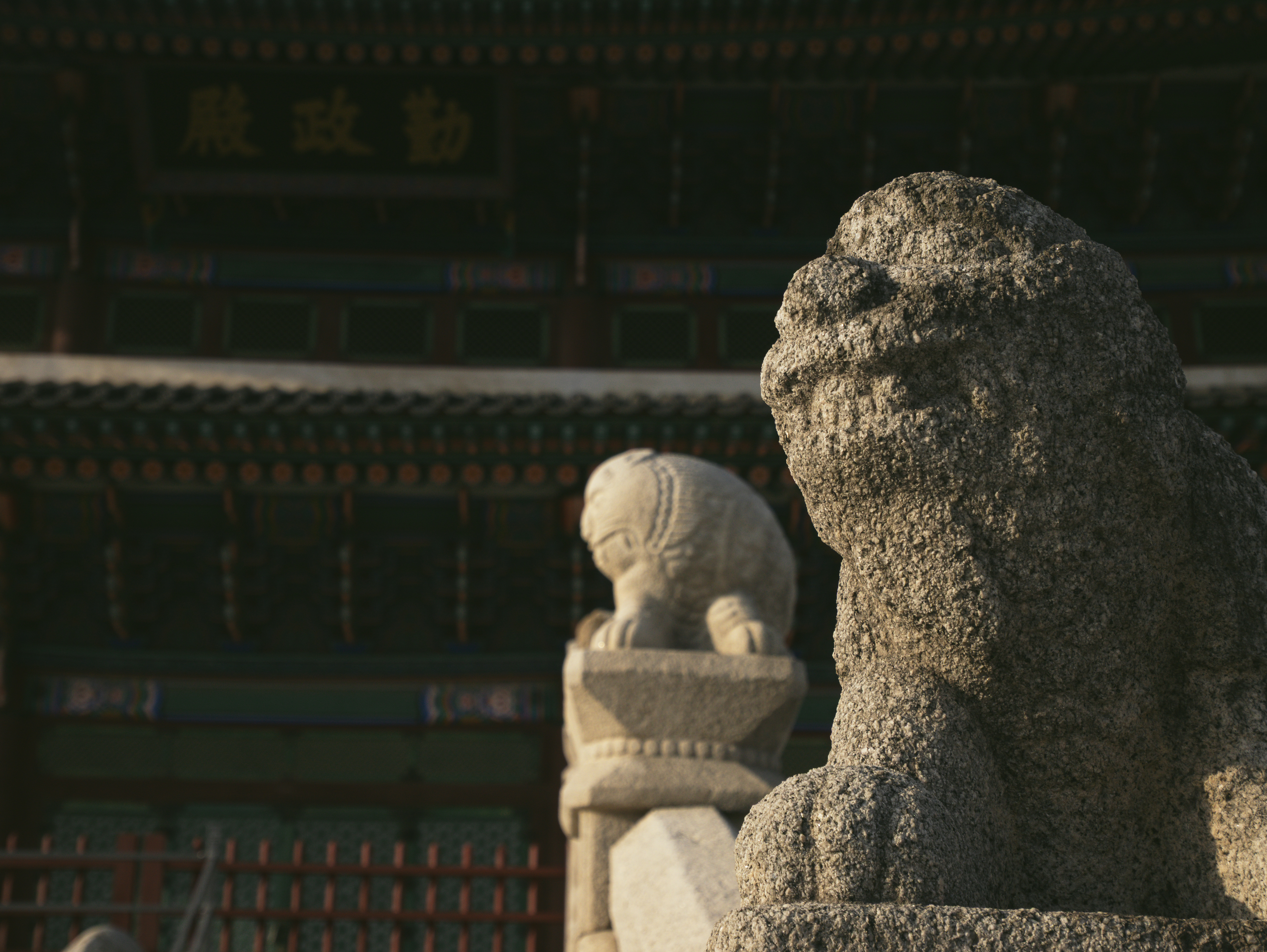 Photography by Ali Abbas Kadhim