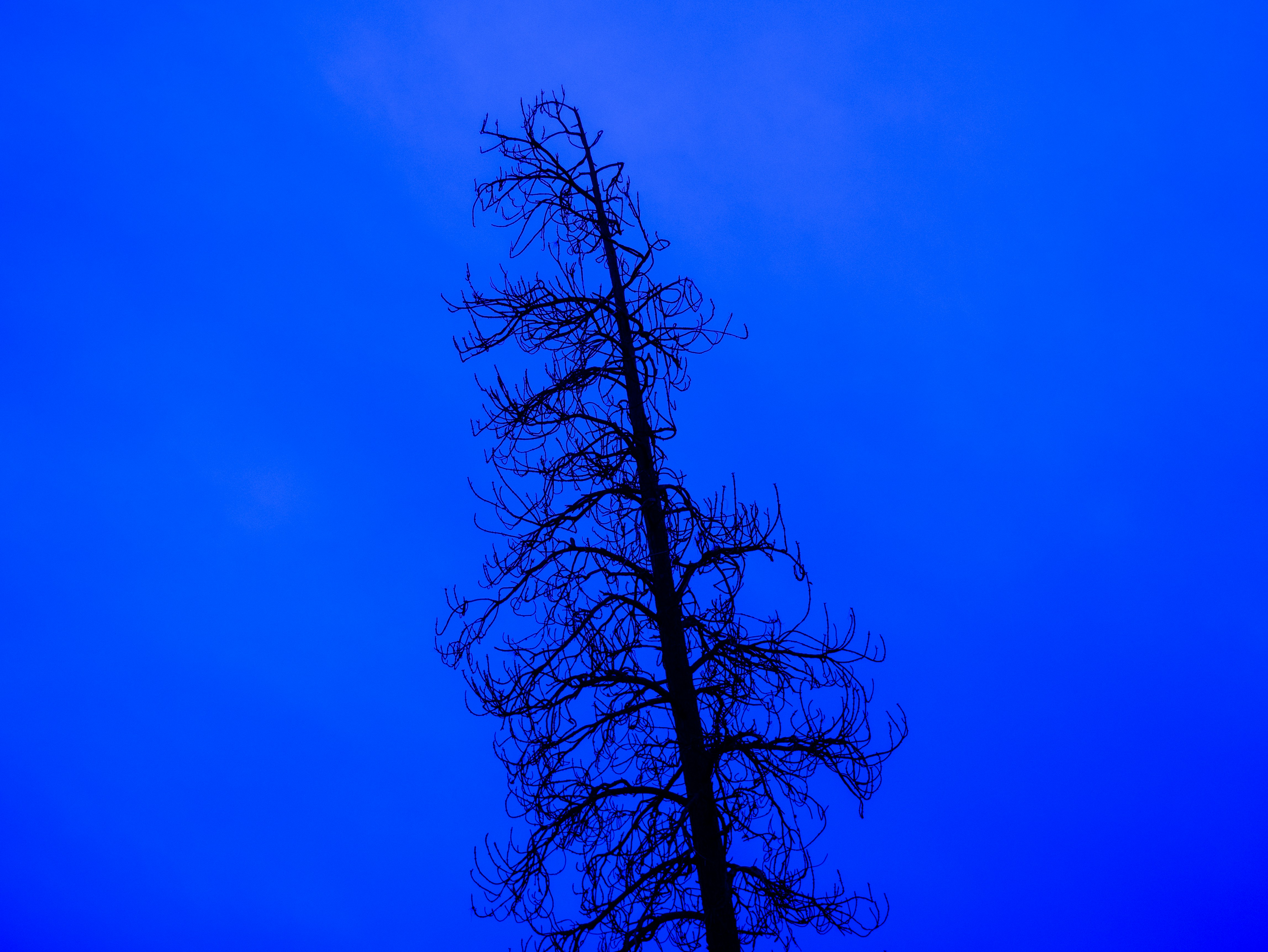 Photography by Ali Abbas Kadhim