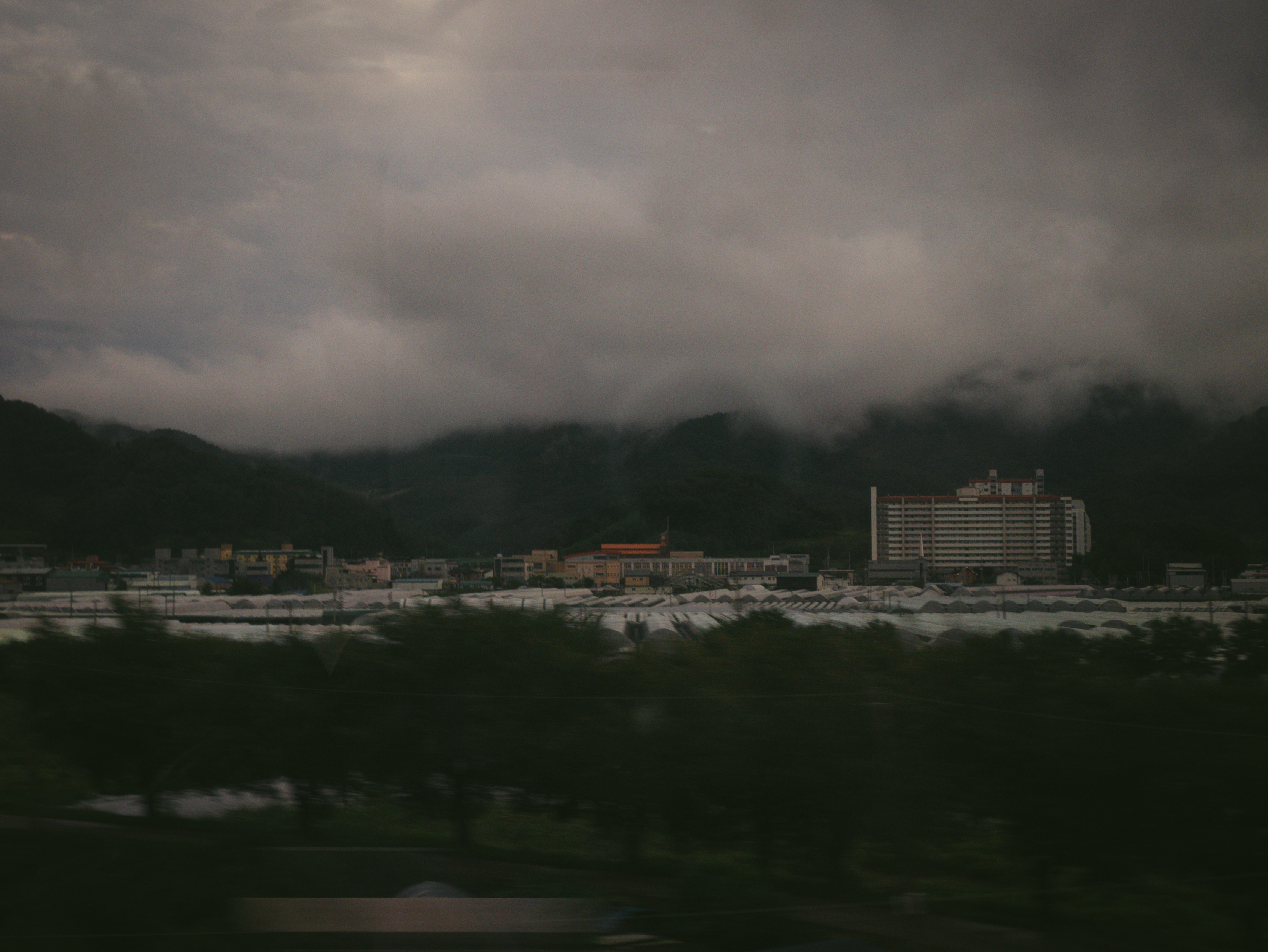 Photography by Ali Abbas Kadhim